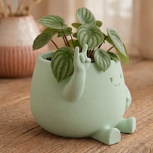 Bezos 3d Baskı Smiley Face Planter - Gülümseyen Karakterli Saksı-mint Mac Standart