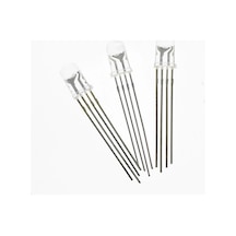 Rgb Led 5Mm Ortak Katot (100 Adet) Common Cathode Katod