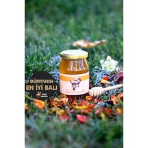 ORGANİK (500GR) ÇİÇEK BAL