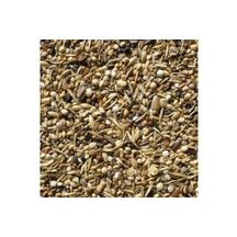 Saglık Tohumu 1 Kg