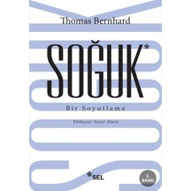 Soğuk - Bir Soyutlama - Abay-763078