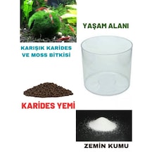 .karides Akvaryumu Yaşam Alanı Fanus+yemi+kum+karides Komple Se