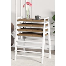 Beyaz - Atlantik Çam