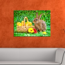 Tavşan ve Meyve Sepeti Forex Tablo