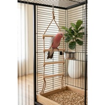 Mivra Pets Papağan Ahşap Merdiven Kemirme Oyuncağı