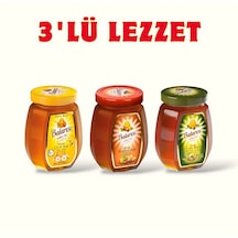 Balarısı Kestane + Çiçek + Çam Balı 3 x 750 G