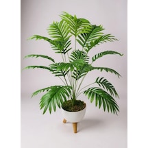 Yapay Çiçek Salon Bitkisi Areka 80cm 18 Yaprak Beyaz Zigon Saksıda Yeşil