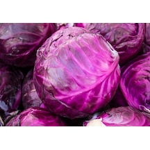 Yerli Kırmızı Lahana Tohumu 10 GR Ort 2000 Ad Tohum N115133