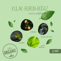 Kulak-burun-boğaz Mix Aromatik Yağ Seti 4 Lü