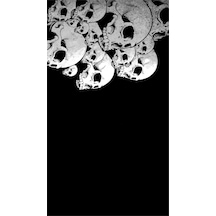 Buffalo Black Skulls1 Motorcu Çok Amaçlı Outdoor Boyunluk Unisex Bandana Siyah