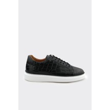 S.croco