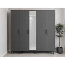 Alara Tamamı Mdf Aynalı Portmanto Vestiyer Ayakkabılık Füme 175 Cm - M12 Antrasit