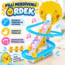 Ers 668-10 Pilli Merdivenli Ördek -psf Çok Renkli