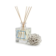 Lucille Okyanus Oda Kokusu 500 Ml Bambu Çubuklu