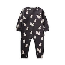 Antrasit