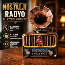 Nostalji Gramofon Tasarımlı Fm Radıo Hafıza Kartı Ve Usb Flash Bellek Destekli Şarj Edilelir Bluetooth Hoparlör