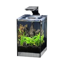 Anubias Danio 17 Nano Akvaryum Siyah 9 Lt 17x22x26,5 Cm
