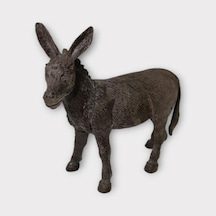 Hayvan