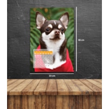 2026 Köpek Duvar Takvimi 33x48 Cm