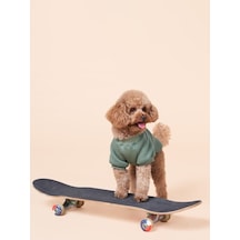 Duckdash Küçük ve Orta Irk Köpekler İçin Köpek Sweatshirt