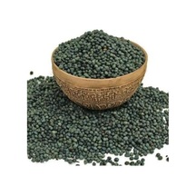 Menengiç Tohumu 1 KG