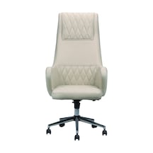 Oldea Bej Rengi Makam Koltuğu Ofis Koltuğu Büro Koltuğu Bilgisayar Koltuğu Siyah