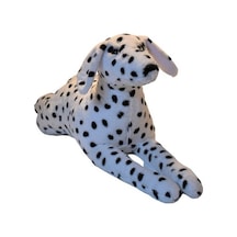 Dalmaçyalı Köpek 85 Cm