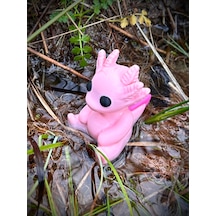 Axolotl Biblo Oyuncak 3D Yeni Nesil Organik Model - Orta Boy