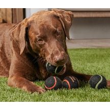 Köpekler İçin Oyuncak Top, 4 Lü Set