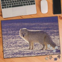 Kar Beyazı Kutup Tilkisi 240 Parça Puzzle Yapboz-1853508