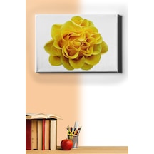 Webstyle Sayılarla Boyama Seti Kasnaklı Sarı Gül 50 X 65 Cm