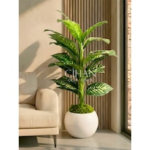 Yapay Difenbahya Ağacı 120 Cm 27x33 Cm Beyaz Küre Saksı