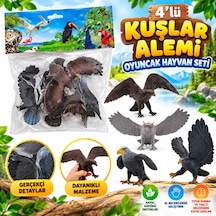 Dmn058-4 4lü Kuşlar Alemi Oyuncak Hayvan Seti
