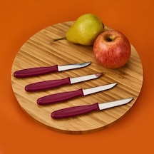 Roocc 4'lü Meyve Bıçağı - Asorti - 20 Cm Çok Renkli