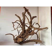 Yati Kökü No:100 44x45x36h
