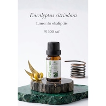 Limon Okaliptüs Uçucu Yağı 10 Ml Eucalyptus Citriodora Essential Oil