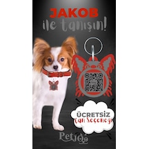 Petjoo 8.Jakob Gri-Kırmızı Qr'lı Köpek Künyesi