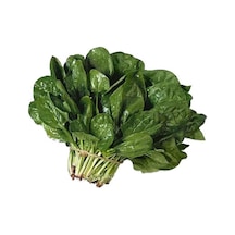 Yerli Ispanak Tohumu 10 GR Paket