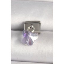 Evyora 316l Çelik Gümüş Renk Mor Zirkon Taşlı Nomination Charm Mor