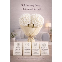 Diğer