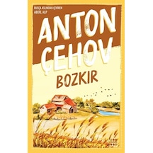 Bozkır - Anton Pavloviç Çehov - Dokuz Yayınları