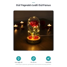Gül Yapraklı Ledli Gül Fanus Standart