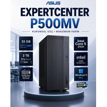P500MV-C521016512G0DRNP15