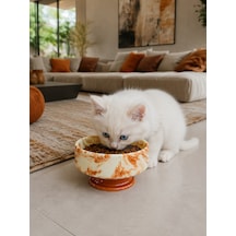 Mama Kabı Kedi Ve Köpek 1 Adet Doğal Mama Veya Su Kabı Kahverengi Marble