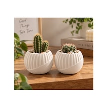 2 Li Kaktüs Saksısı Beyaz Dekoratif Mini Saksı Sukulent Ve Kaktüs Saksısı 8 Cm Beyaz - 921521534 Beyaz - 921521534