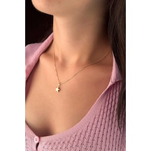 Fiyonk Kuyumculuk 14 Ayar Altın İpek Zincir Yıldız Kolye 001