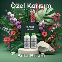 Bitki Besini İkili 250 Ml 2 Adet Hızlı Etkili Genel Bakım Ve Canlandırma Kürü 250 ML