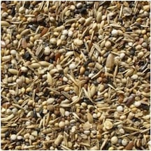 Sağlık Tohumu Kuş Yemi Yabani Sağlık Yohumu 500 Gr