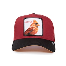 Goorin Bros. Cardinal Fan Kuş Figürlü 101-1990