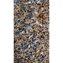 Cennet-Sultan Papaganı Paraket Yemi Özel Karışık 10 KG